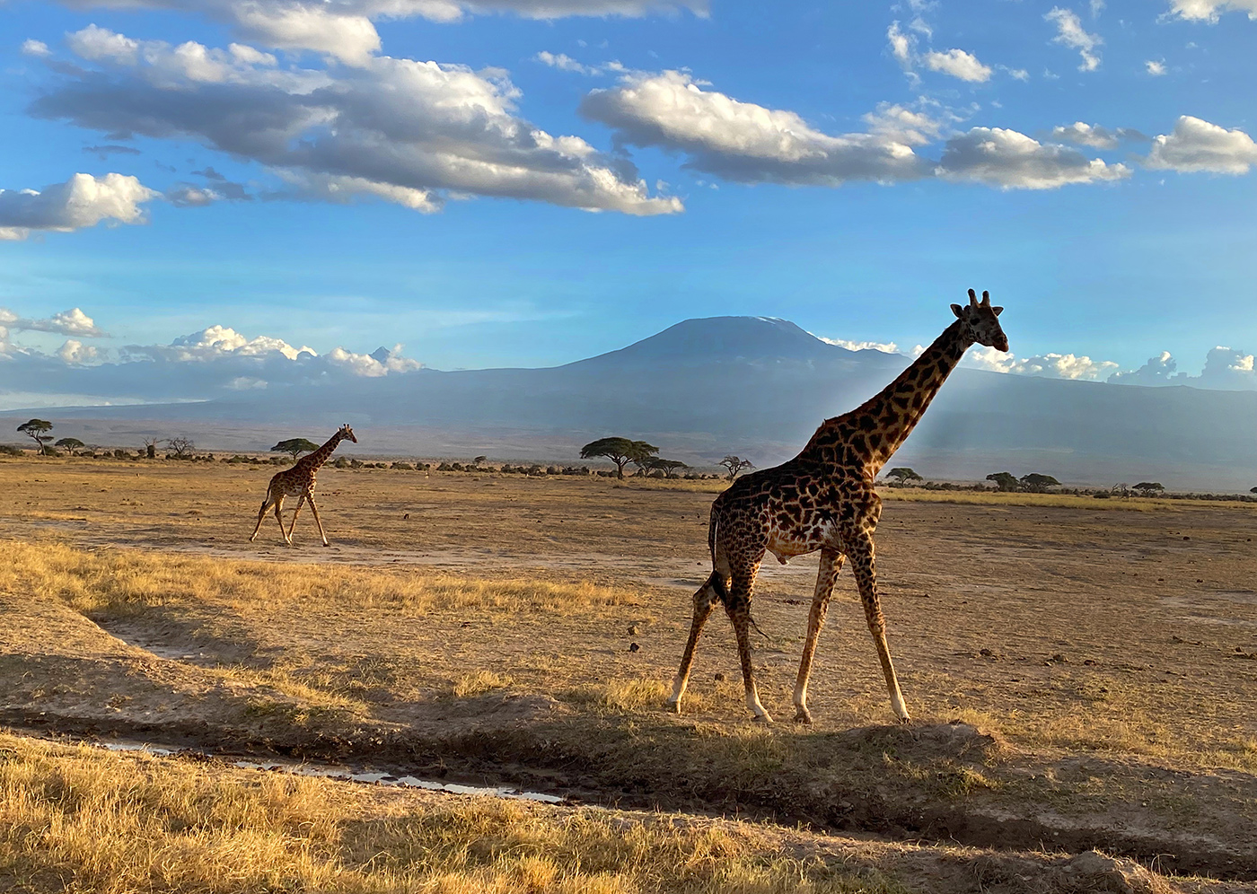Herbert Neuner in Africa